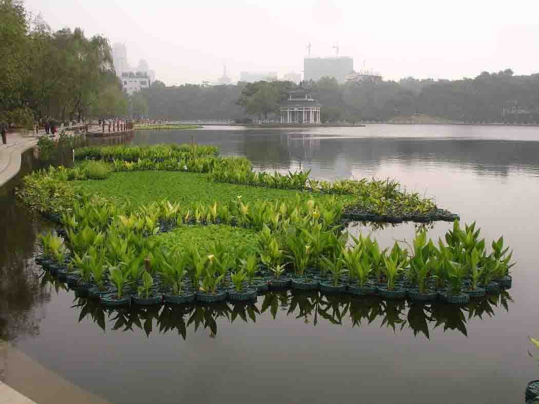 湖南草字頭生態(tài)環(huán)境建設有限公司,人造草坪假草皮,湖南雨水收集處理工藝